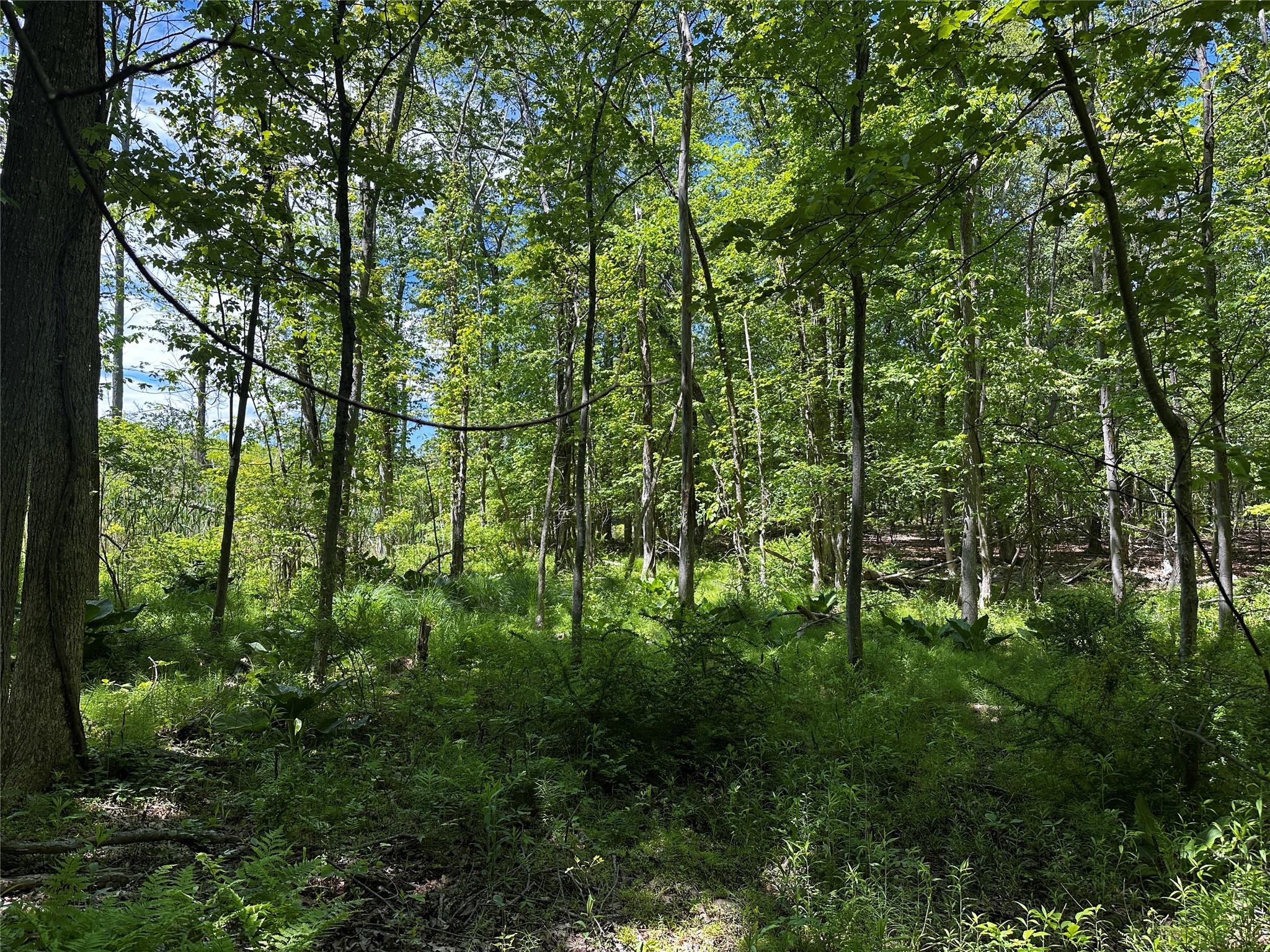 #3 photo, Rye Hill Road, Monroe , NY 10950