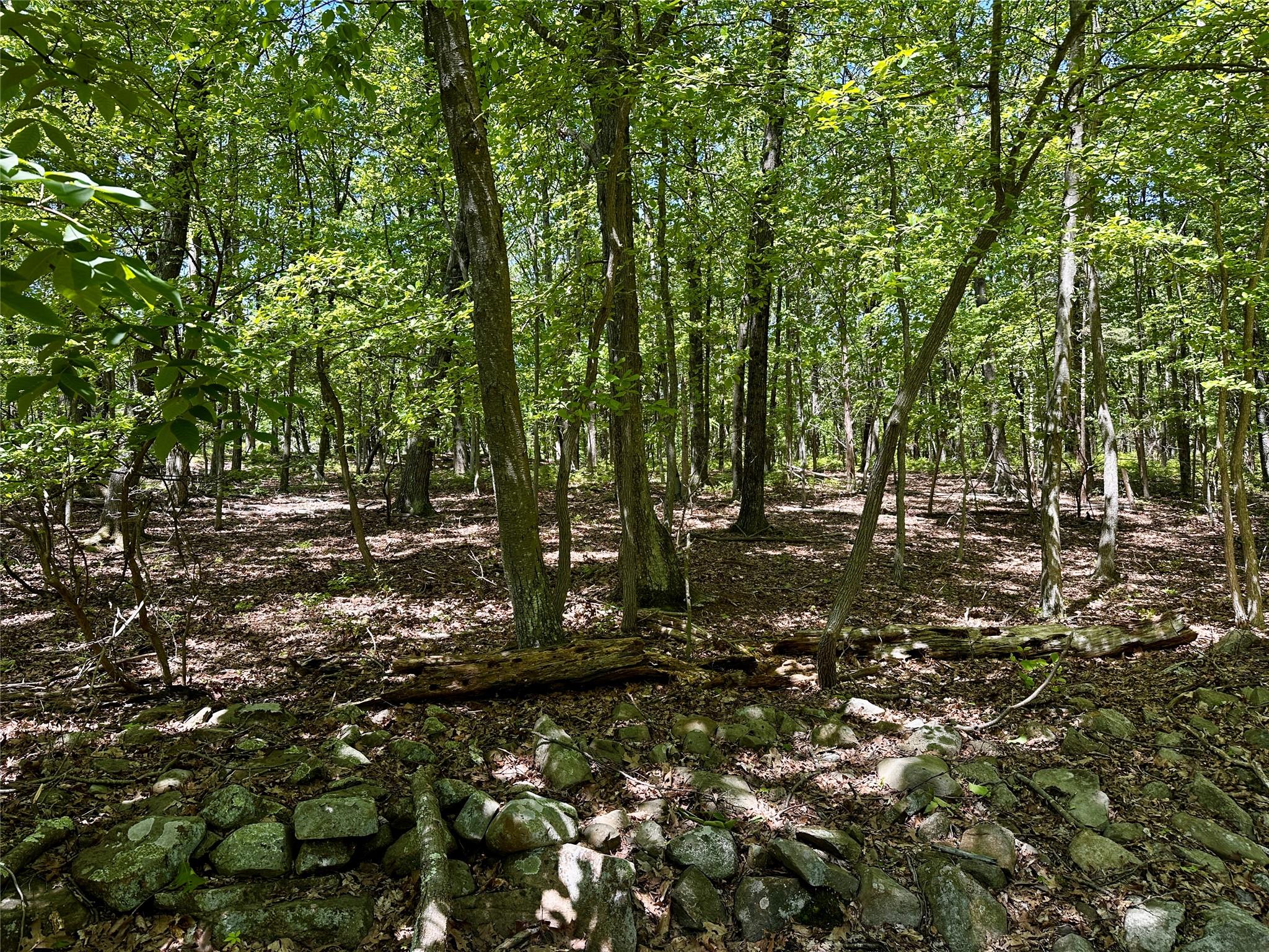 #4 photo, Rye Hill Road, Monroe , NY 10950