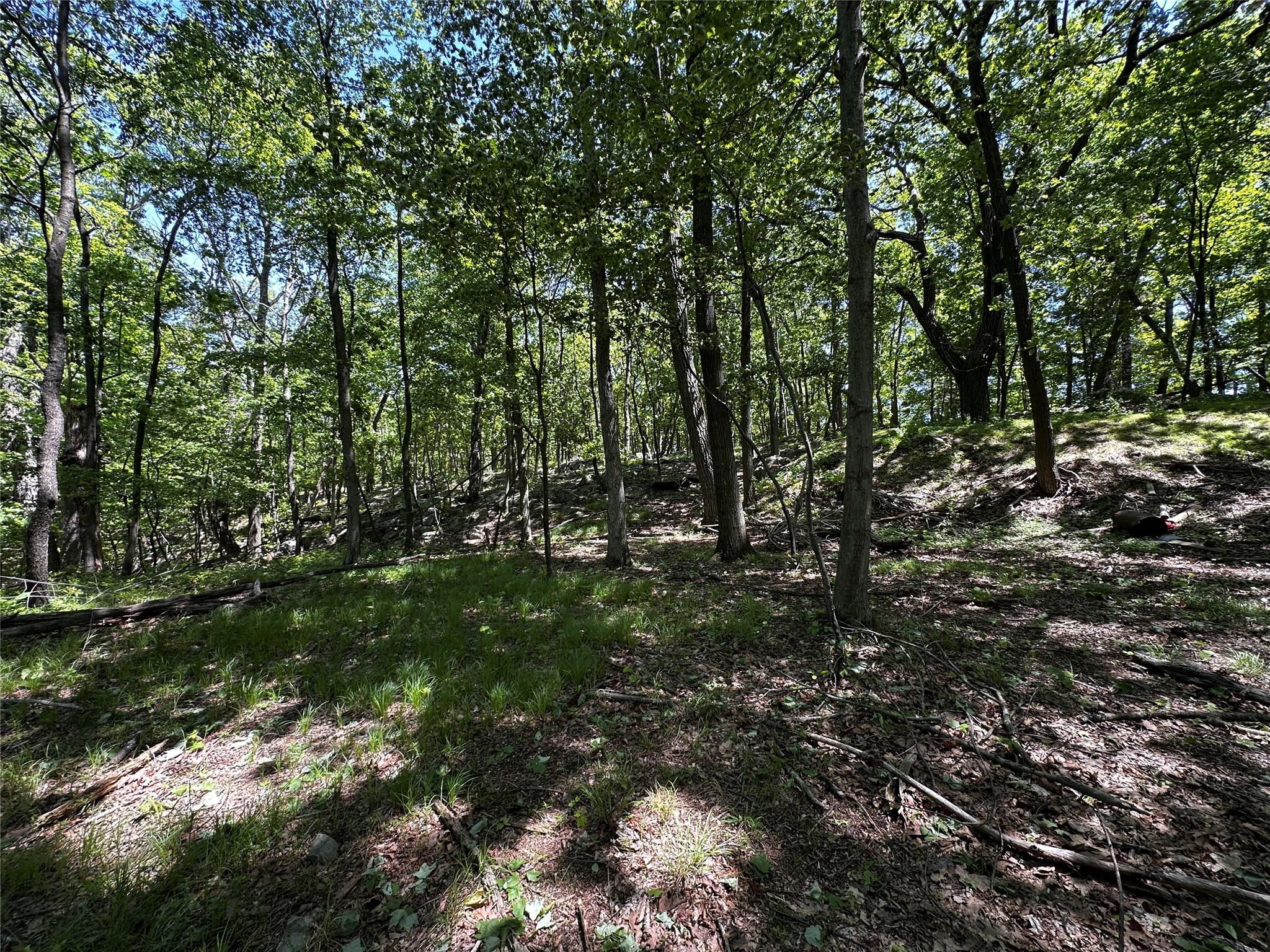 #5 photo, Rye Hill Road, Monroe , NY 10950