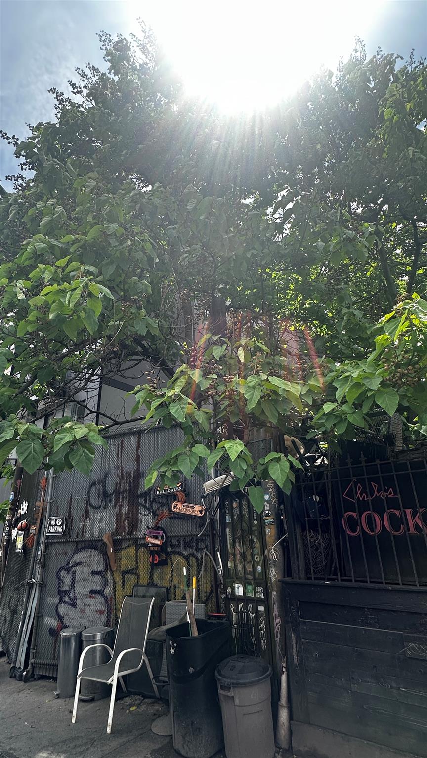 #2 photo, 196 Clifton Place, ブルックリン区 Brooklyn , NY 11216