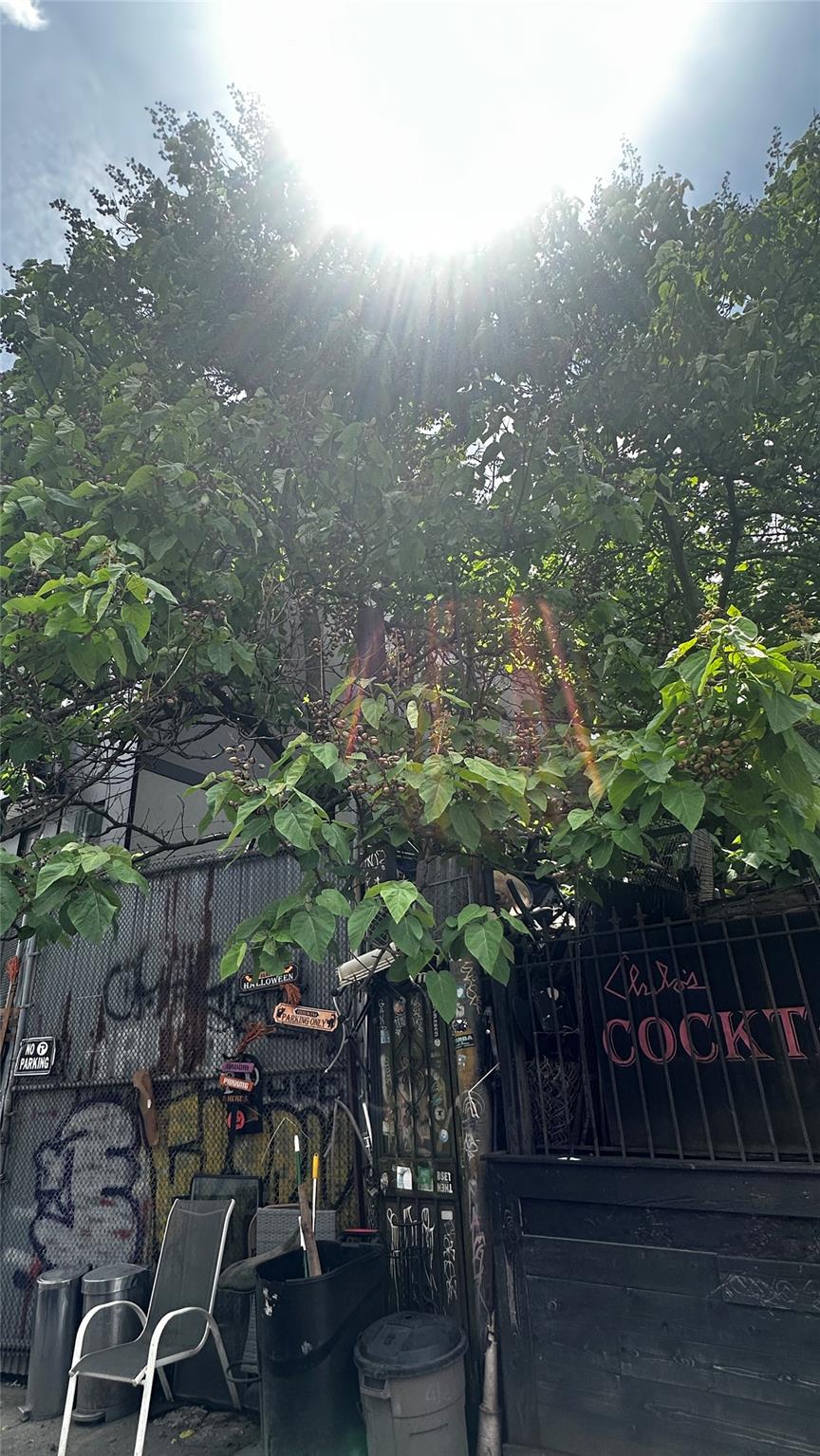 #3 photo, 196 Clifton Place, ブルックリン区 Brooklyn , NY 11216