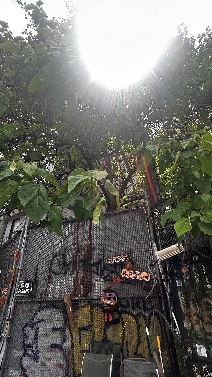 #4 photo, 196 Clifton Place, ブルックリン区 Brooklyn , NY 11216