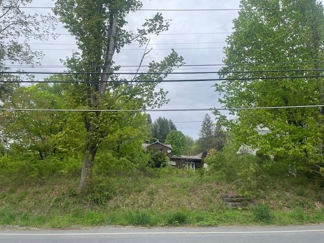 #1 photo, 23 Maiden Lane, Livingston Manor , NY 12758