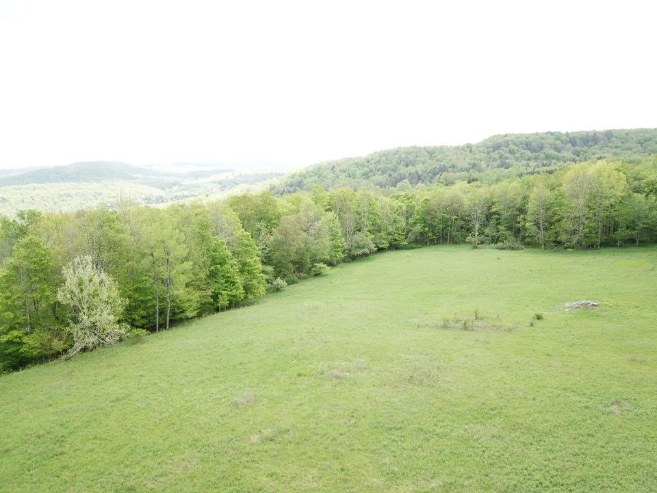 #10 photo, Dubois, Livingston Manor , NY 12758