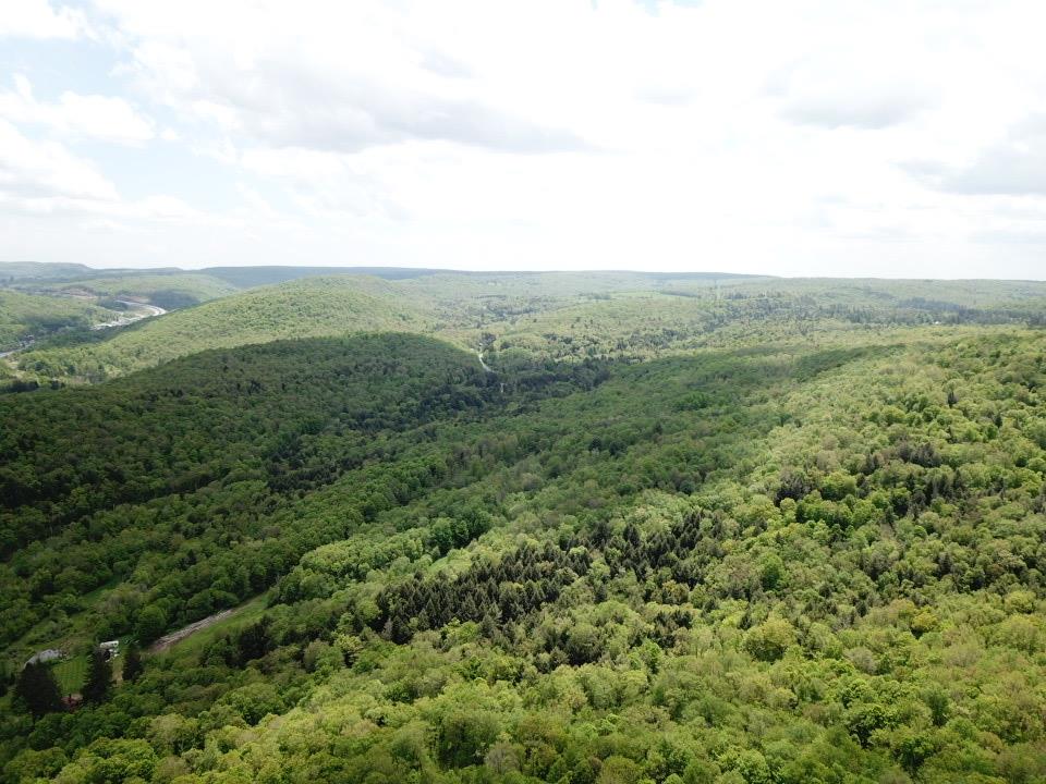 #11 photo, Dubois, Livingston Manor , NY 12758