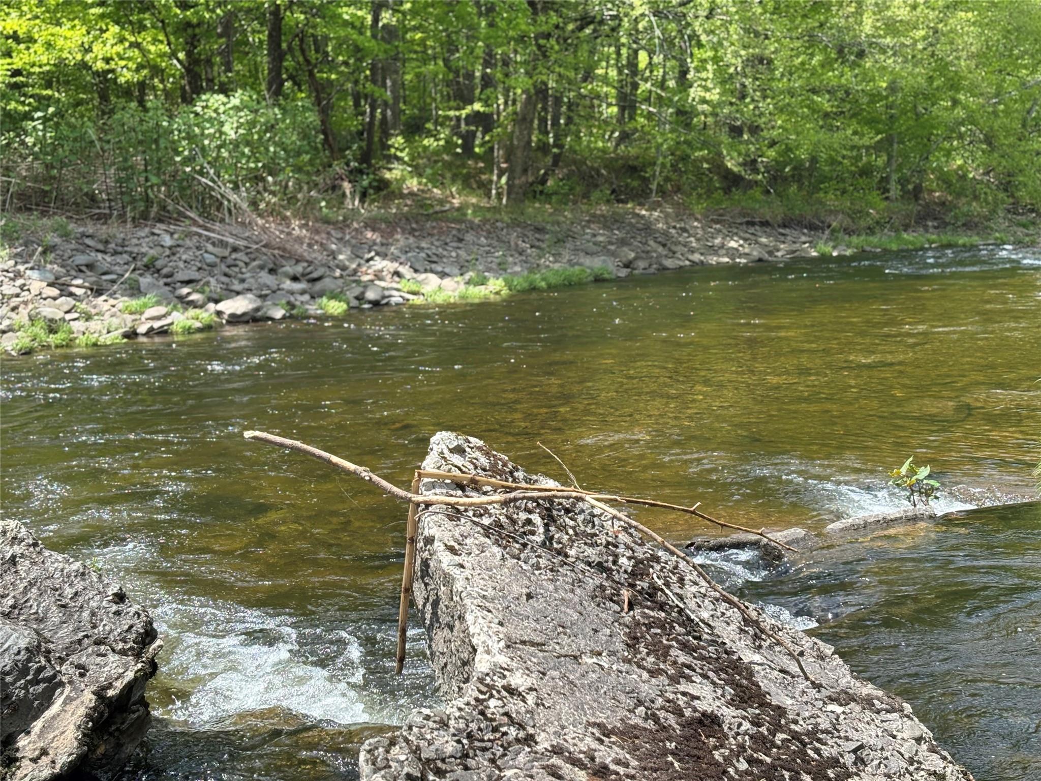 #13 photo, Dubois, Livingston Manor , NY 12758