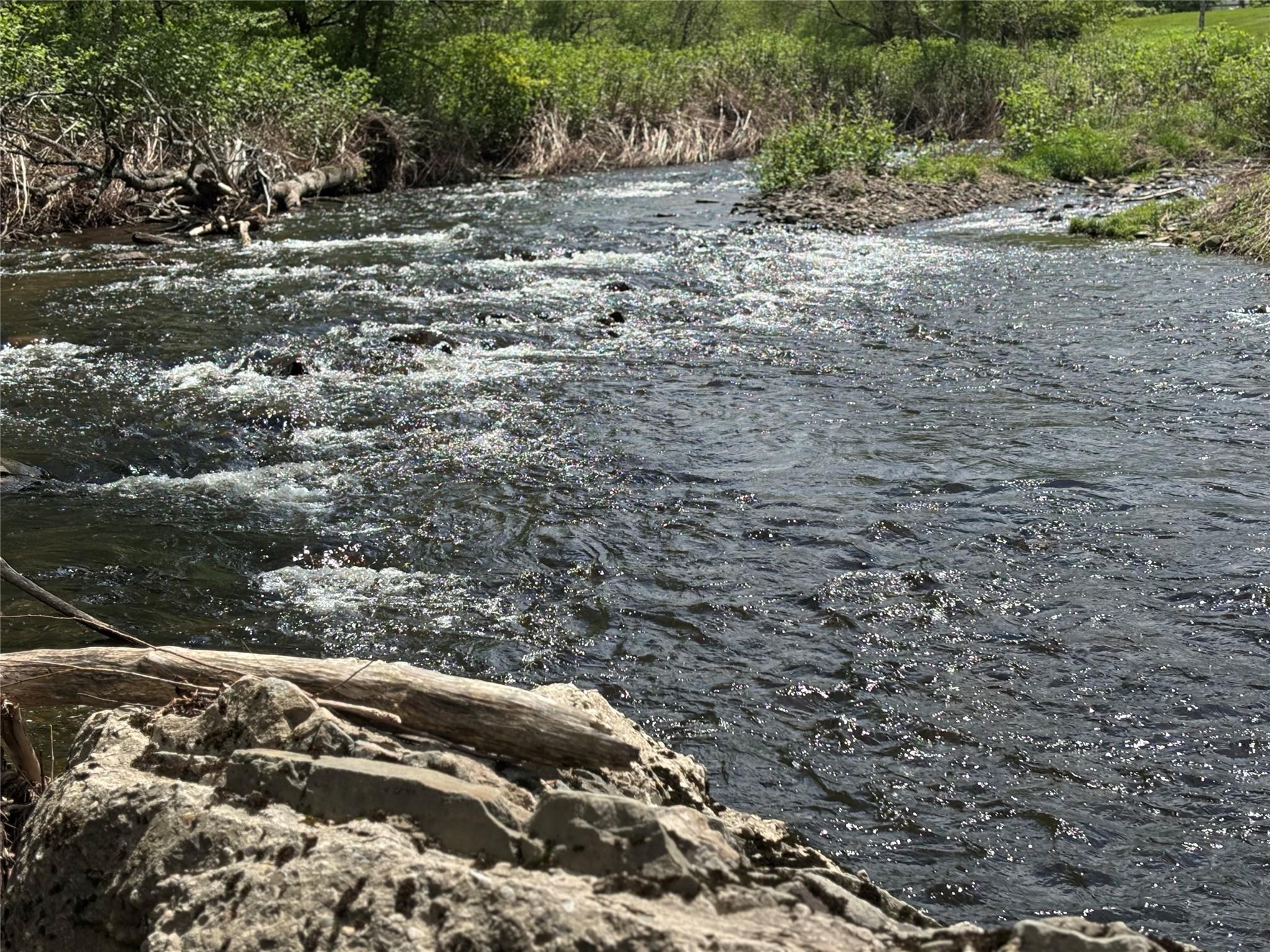 #14 photo, Dubois, Livingston Manor , NY 12758