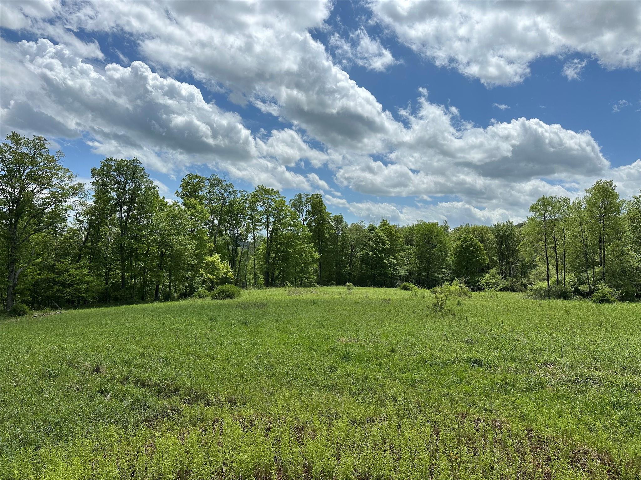 #15 photo, Dubois, Livingston Manor , NY 12758