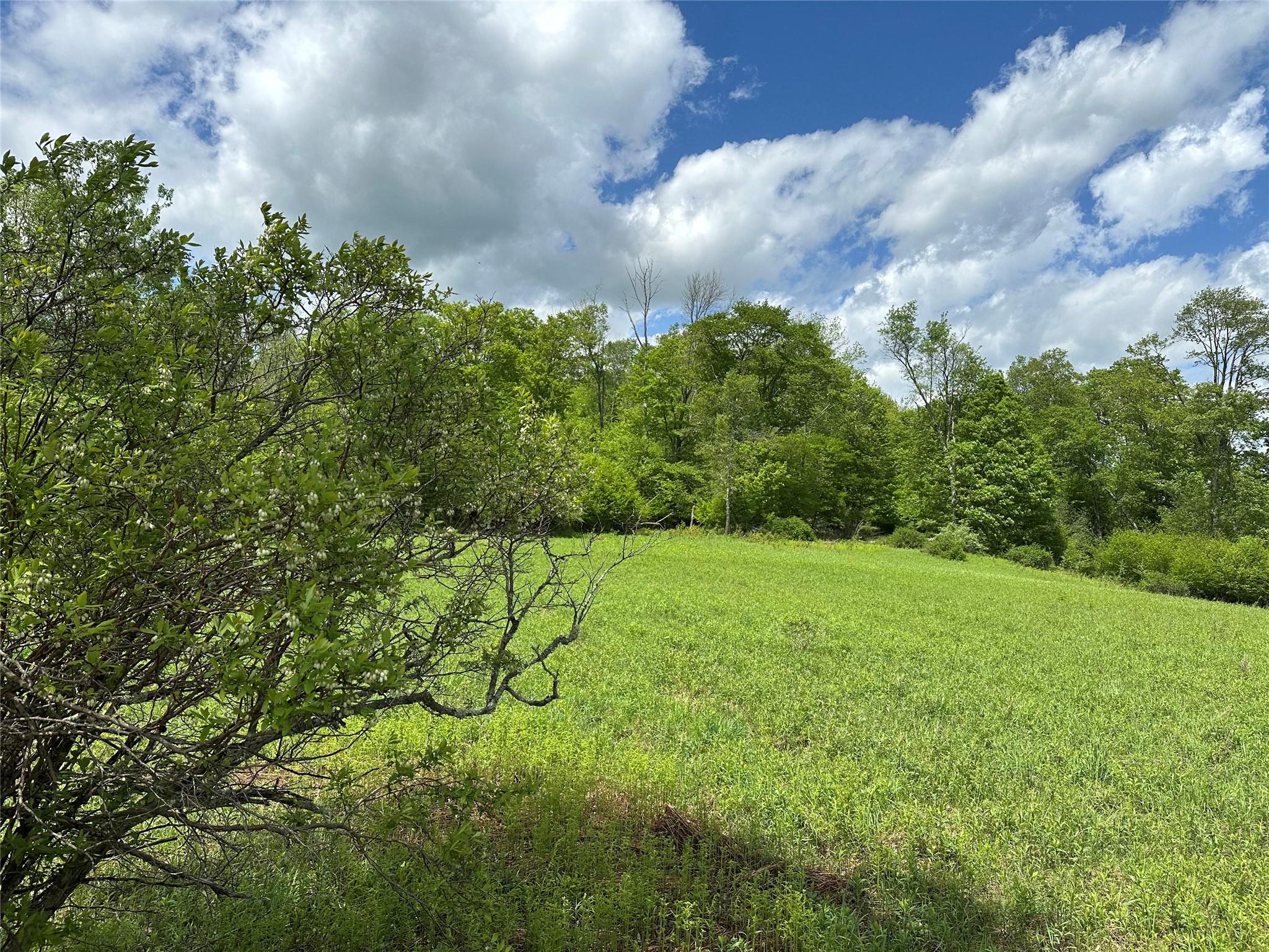 #17 photo, Dubois, Livingston Manor , NY 12758