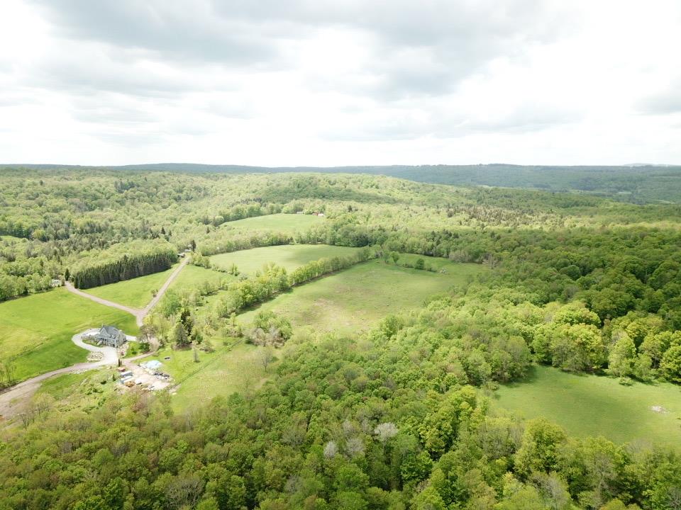 #19 photo, Dubois, Livingston Manor , NY 12758