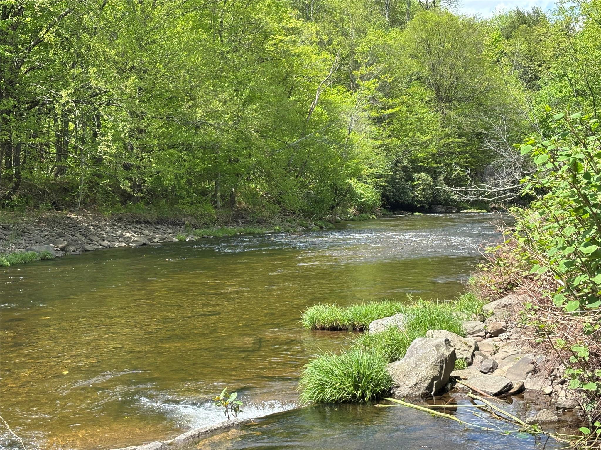 #2 photo, Dubois, Livingston Manor , NY 12758