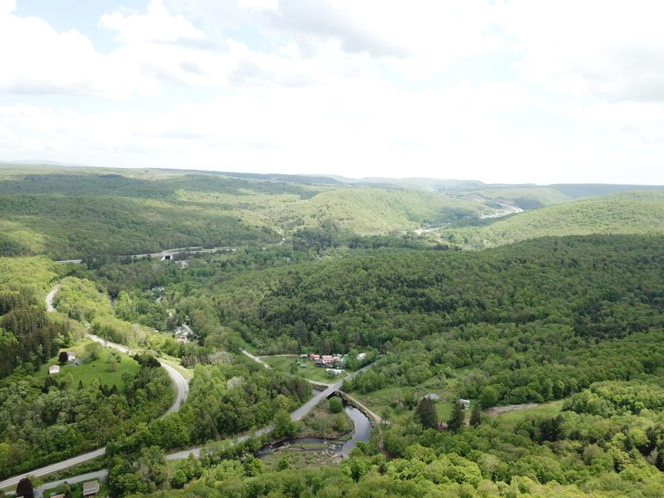 #20 photo, Dubois, Livingston Manor , NY 12758