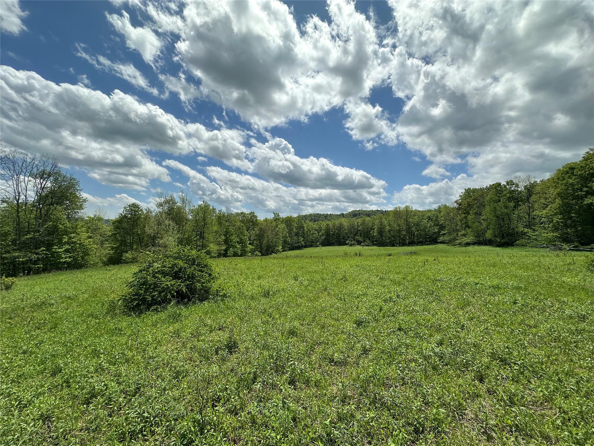 #3 photo, Dubois, Livingston Manor , NY 12758