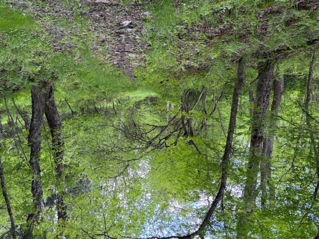 #4 photo, Dubois, Livingston Manor , NY 12758