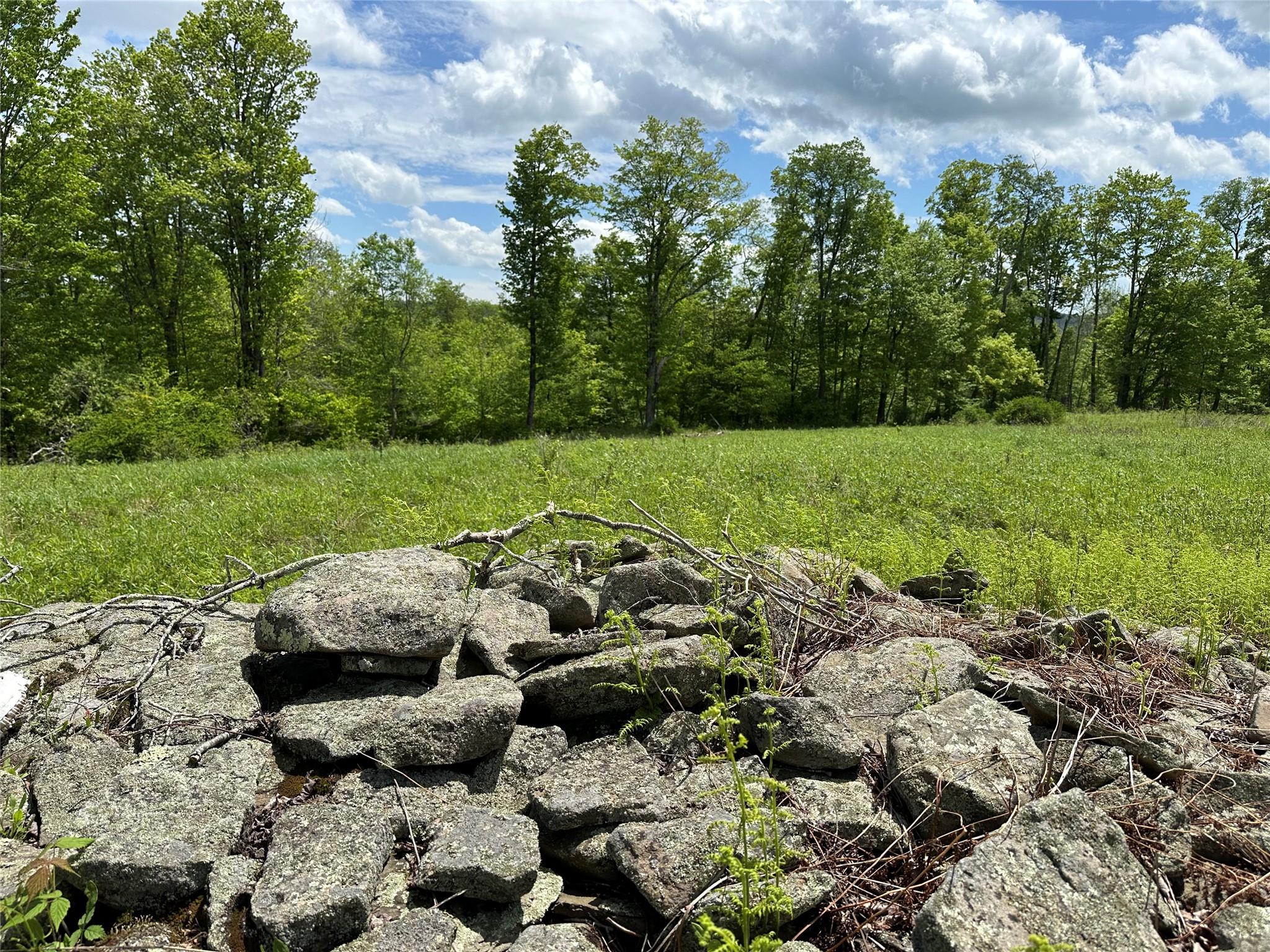 #5 photo, Dubois, Livingston Manor , NY 12758