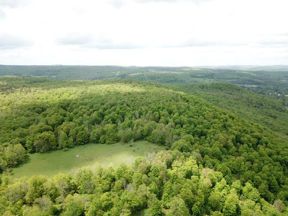 #6 photo, Dubois, Livingston Manor , NY 12758