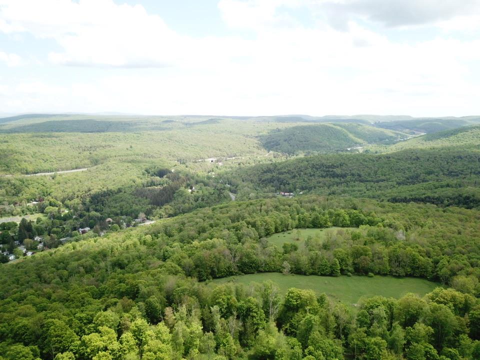 #7 photo, Dubois, Livingston Manor , NY 12758