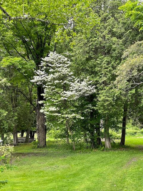 #57 photo, 3916 State Highway 2, Troy , NY 12180