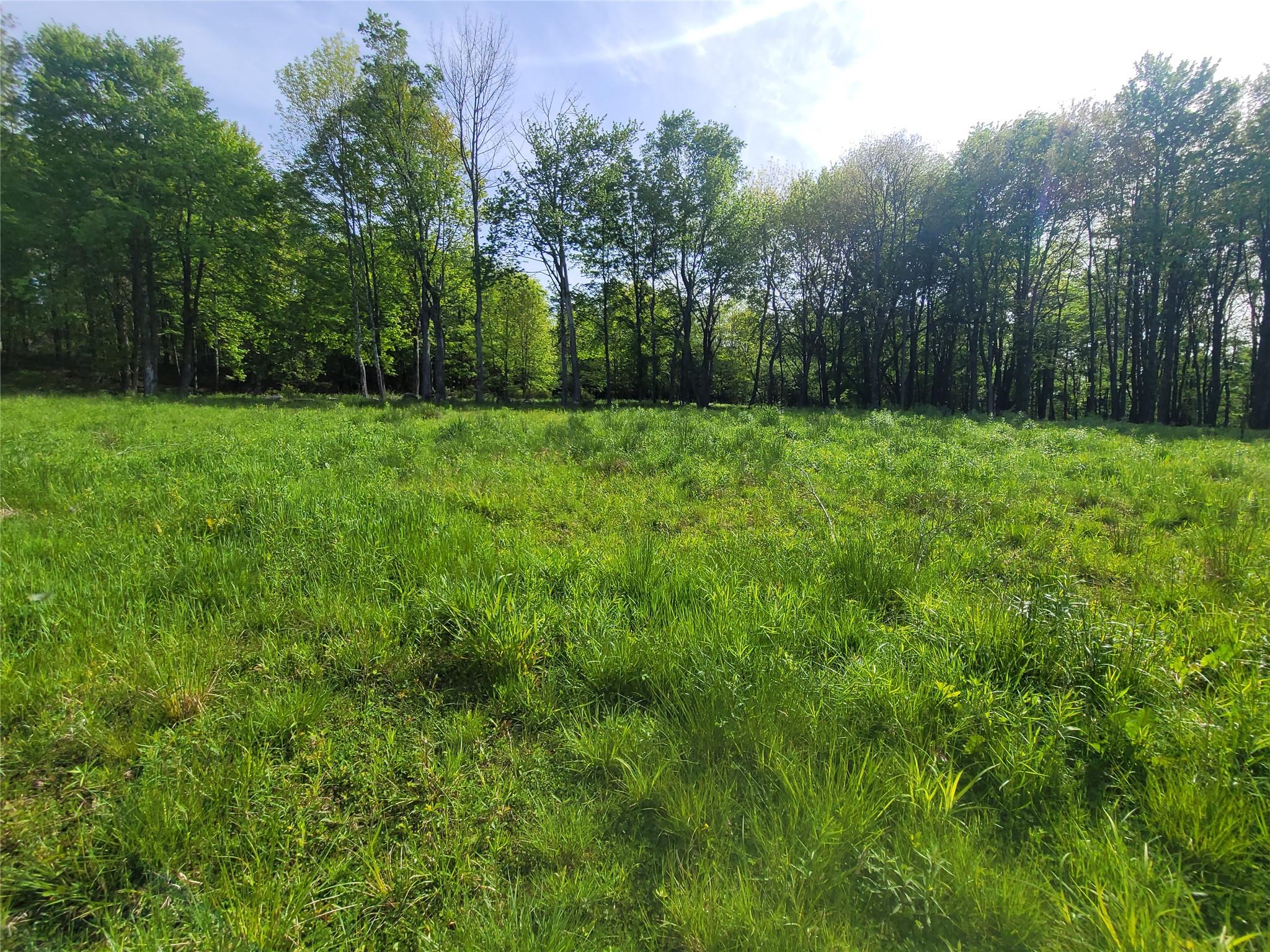 #2 photo, Tanzman, Parksville , NY 12754