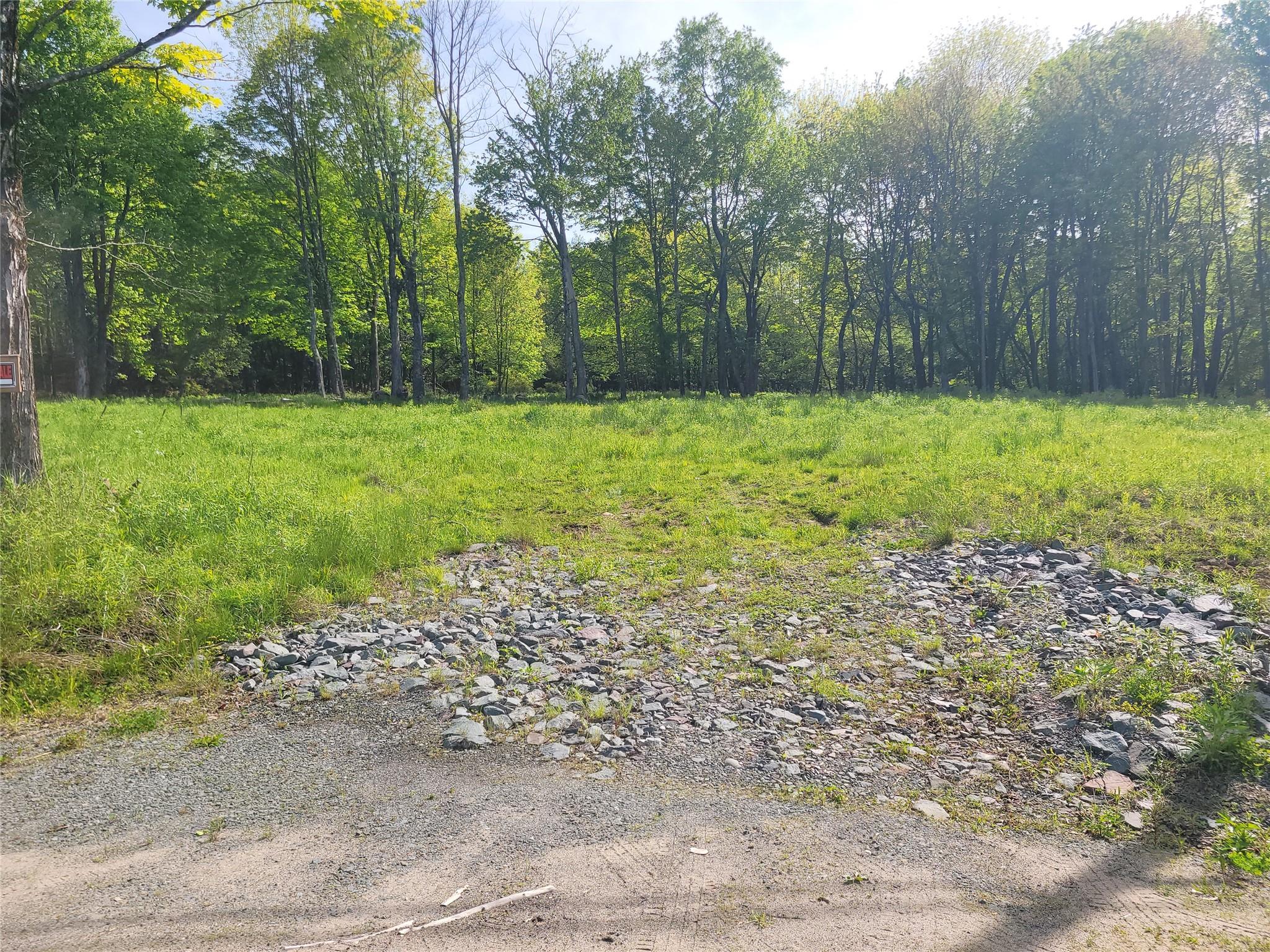 #3 photo, Tanzman, Parksville , NY 12754