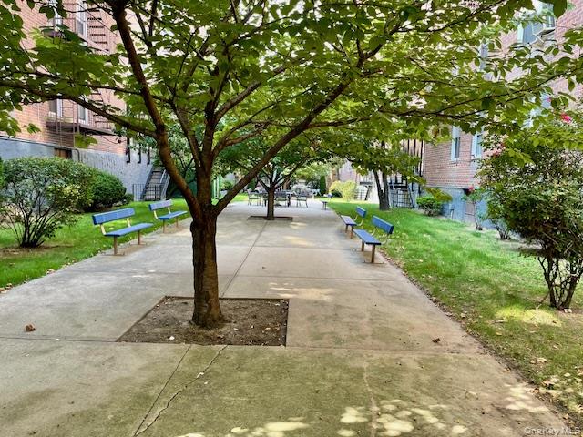 #12 photo, 33-45 92 Street, クイーンズ区 Jackson Heights , NY 11372