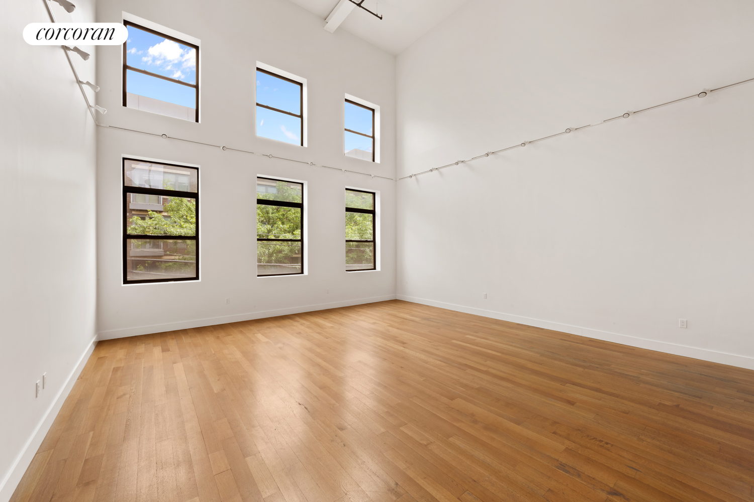 #1 photo, 241 BEDFORD Avenue, ব্রুকলিন Williamsburg,North , NY 11211