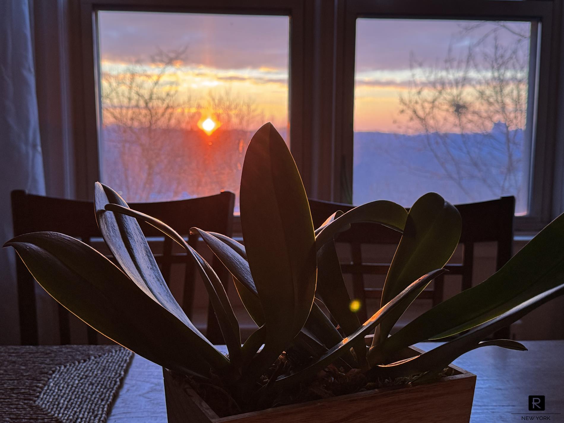 #5 photo, 5500 Fieldston Road, ブロンクス区 Riverdale , NY 10471