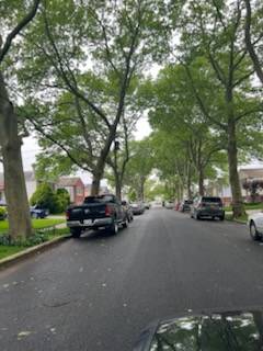 #9 photo, 10567 Flatlands 7th Street, ブルックリン区 Canarsie , NY 11236