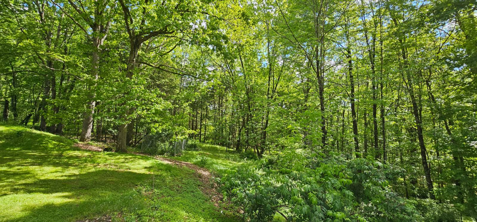 #35 photo, 7599 State Route 97, Narrowsburg , NY 12764