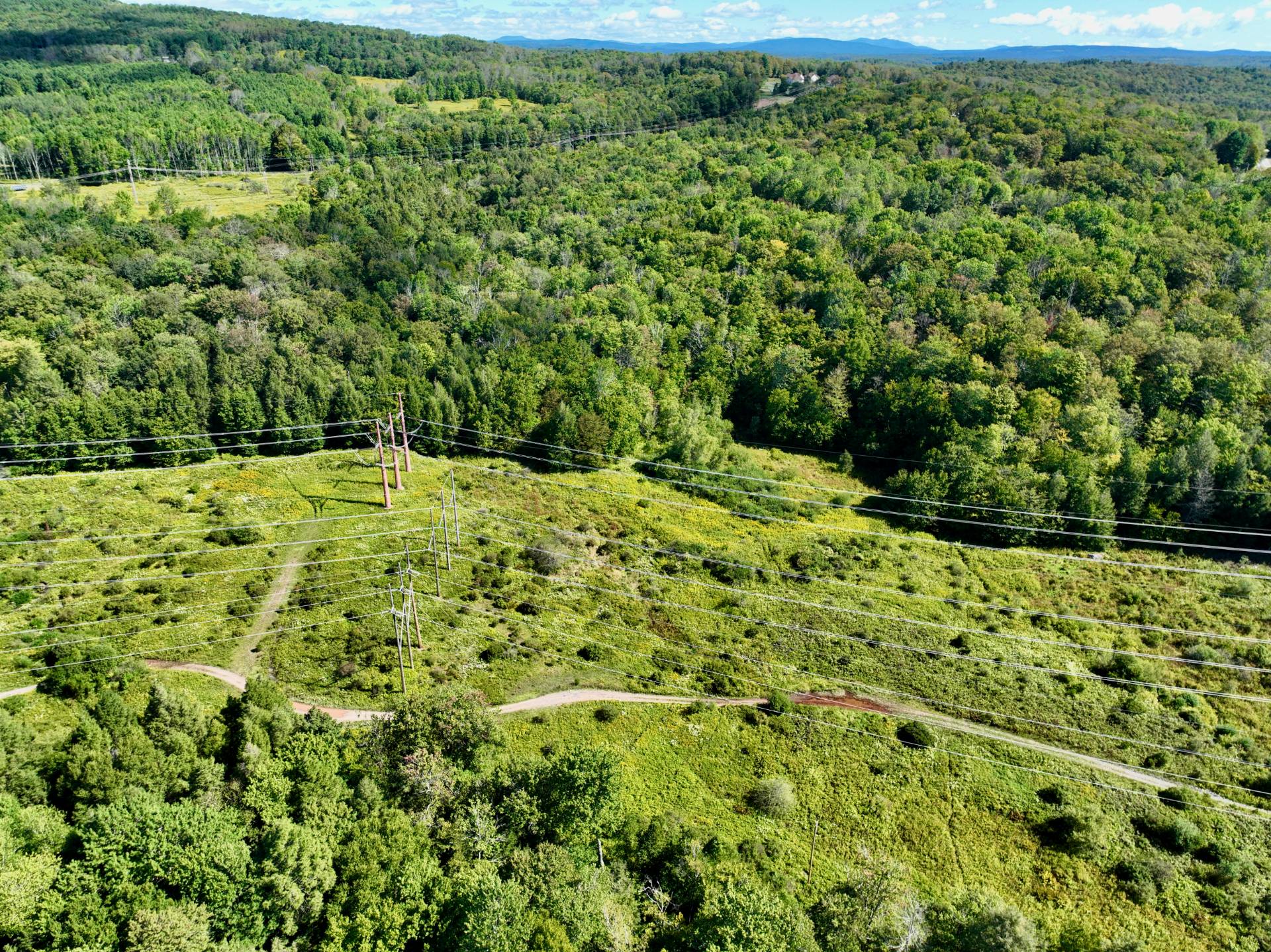 #16 photo, 0 Kelly Bridge Road, Liberty , NY 12754