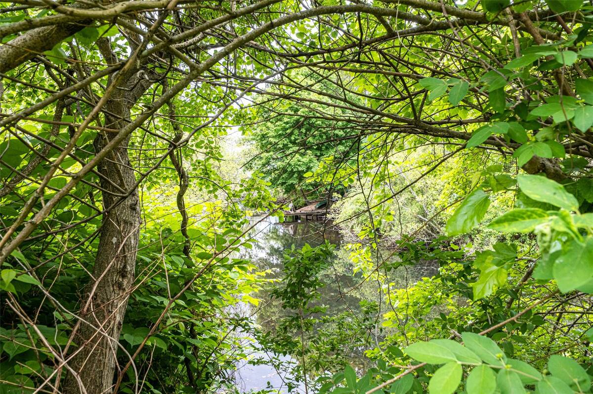 #37 photo, 135 Rosebud Court, サフォーク郡 Patchogue , NY 11772