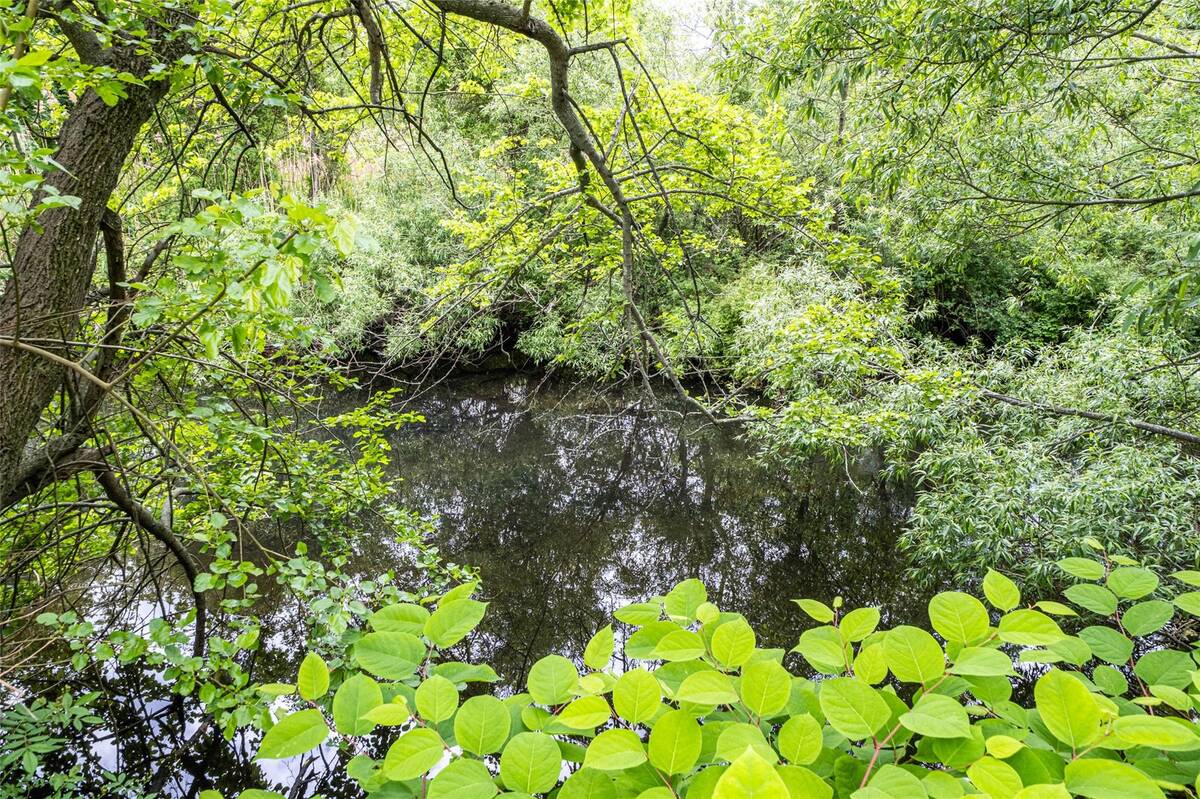 #38 photo, 135 Rosebud Court, サフォーク郡 Patchogue , NY 11772