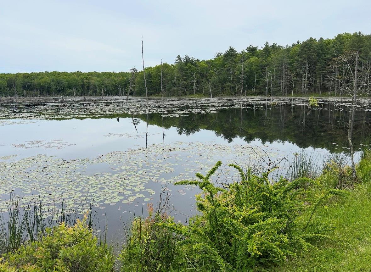 #2 photo, Lot 45 Split Rock Drive, Barryville , NY 12719