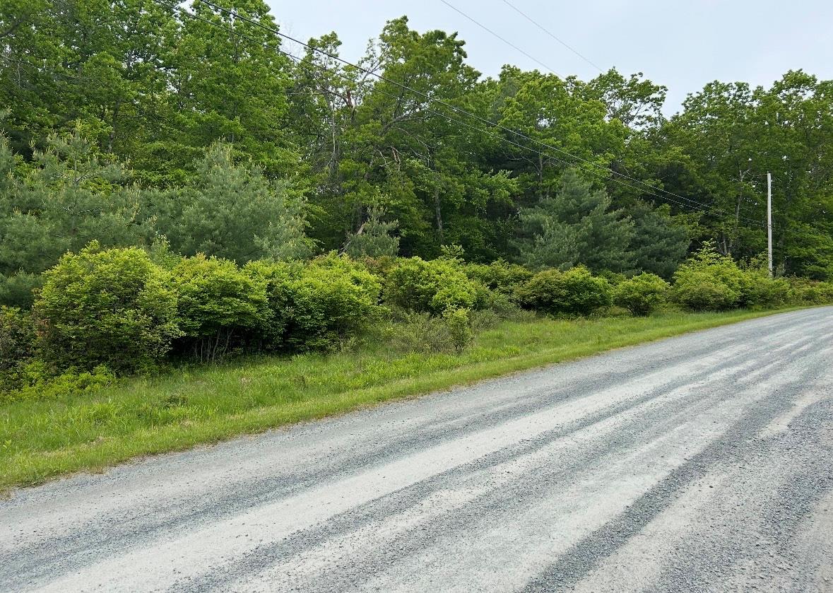 #3 photo, Lot 45 Split Rock Drive, Barryville , NY 12719