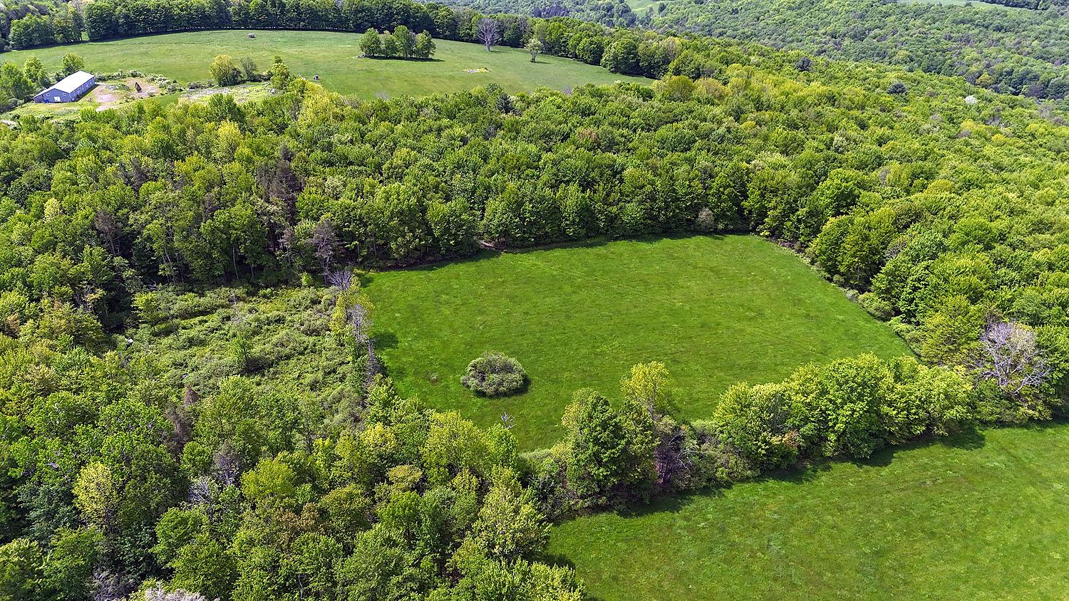 #15 photo, Menges Road, Youngsville , NY 12791