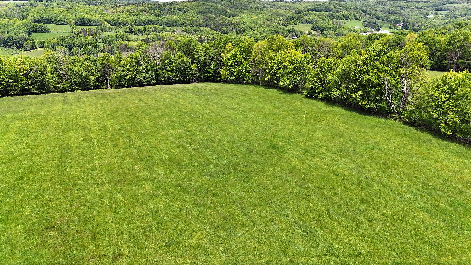 #17 photo, Menges Road, Youngsville , NY 12791