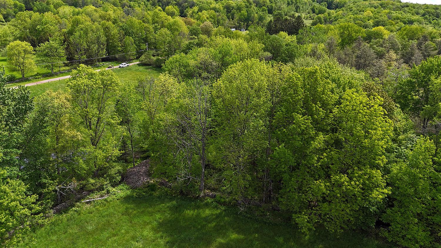 #18 photo, Menges Road, Youngsville , NY 12791