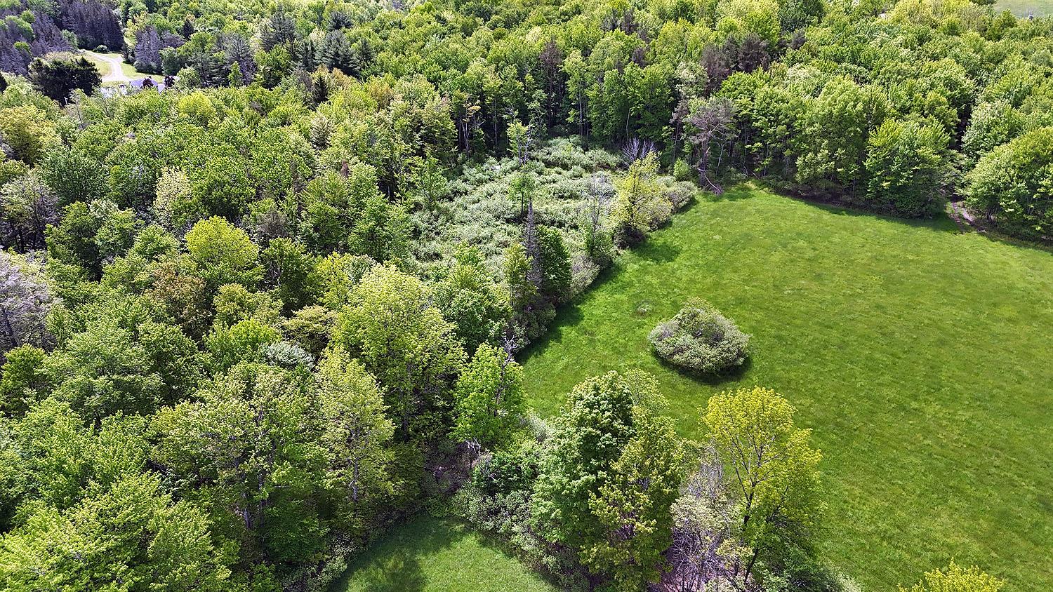 #20 photo, Menges Road, Youngsville , NY 12791