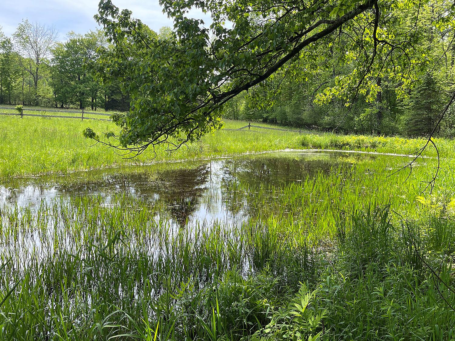 #6 photo, Menges Road, Youngsville , NY 12791