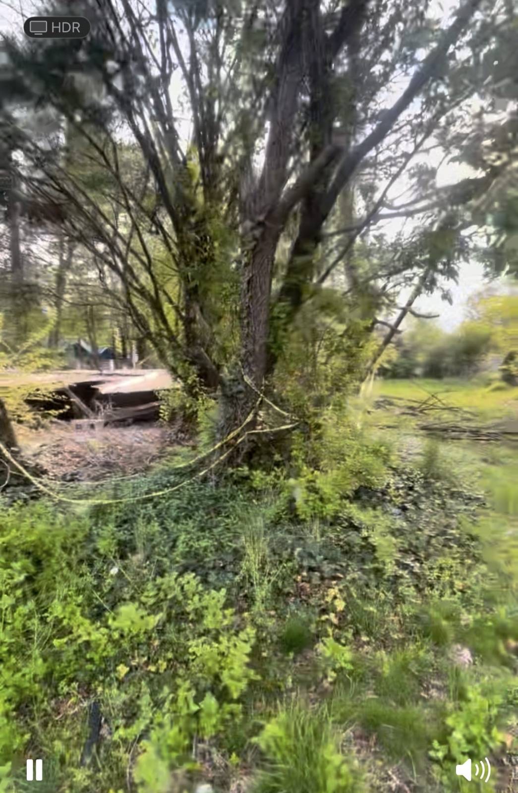 #4 photo, 47 East Ave, ナッソー郡 Freeport , NY 11520