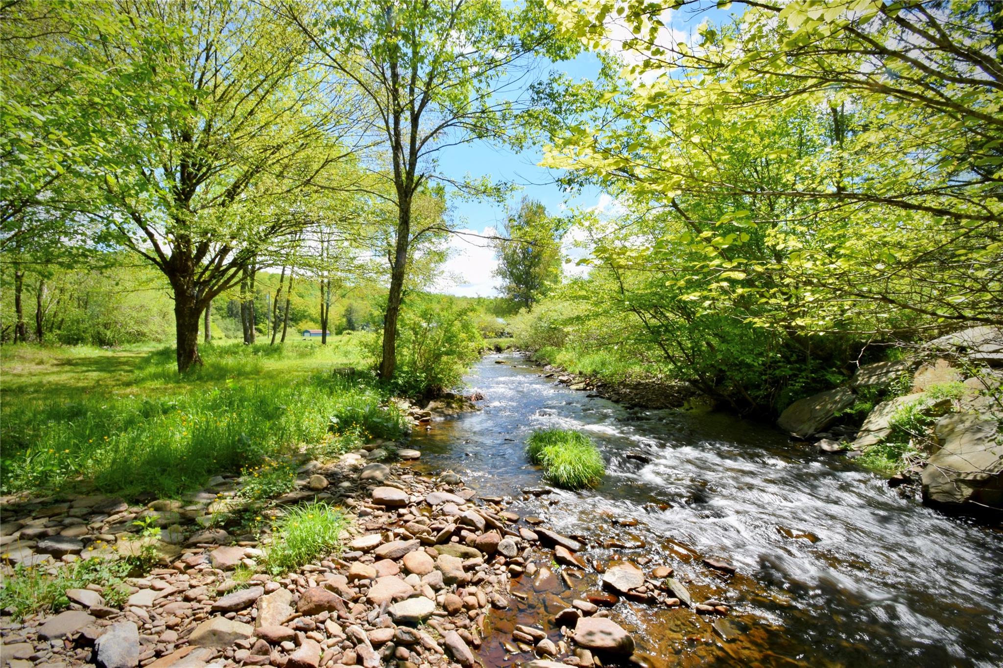 #2 photo, 7 Bonnie Brook Road, Roscoe , NY 12776