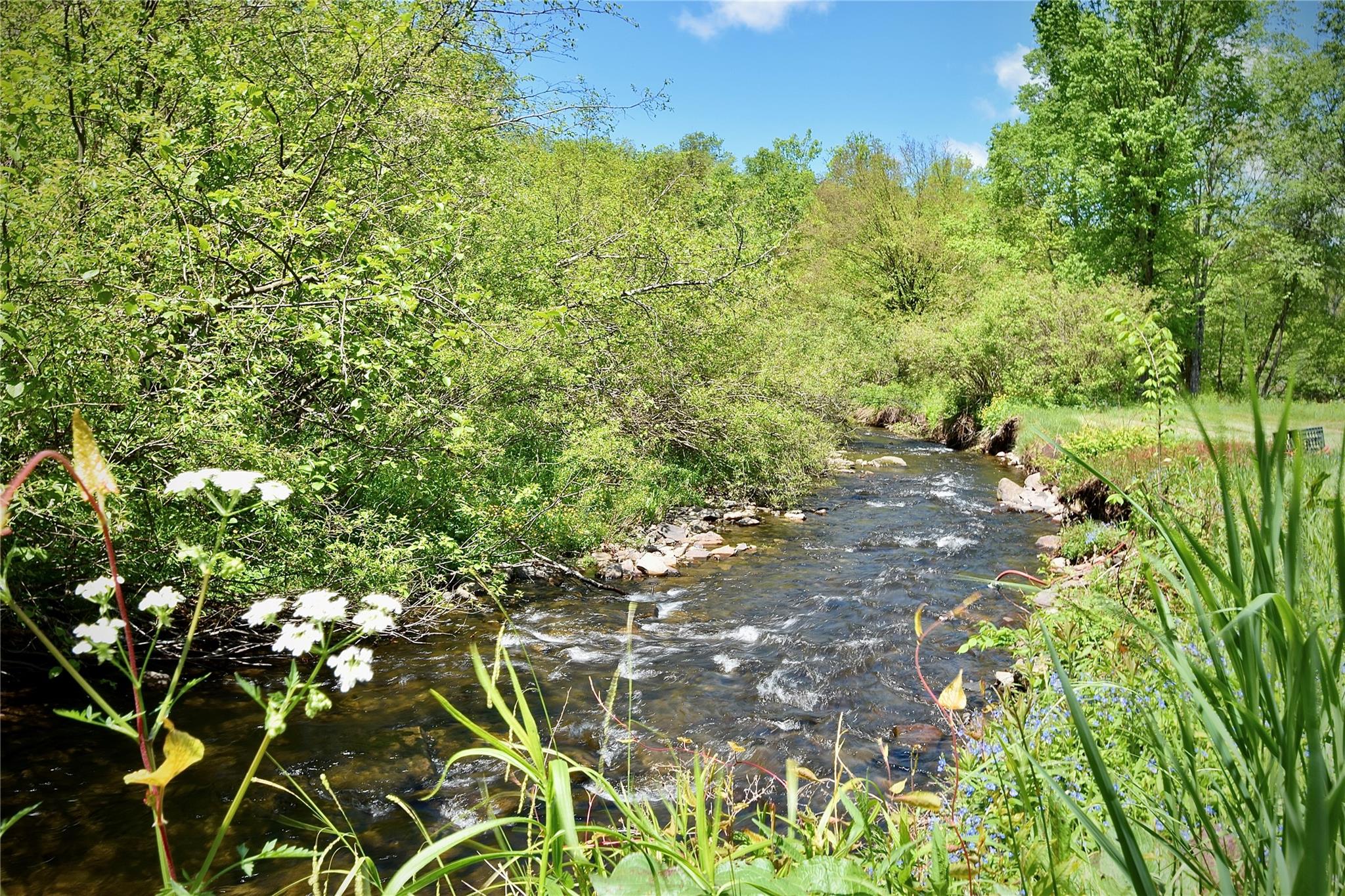 #4 photo, 7 Bonnie Brook Road, Roscoe , NY 12776