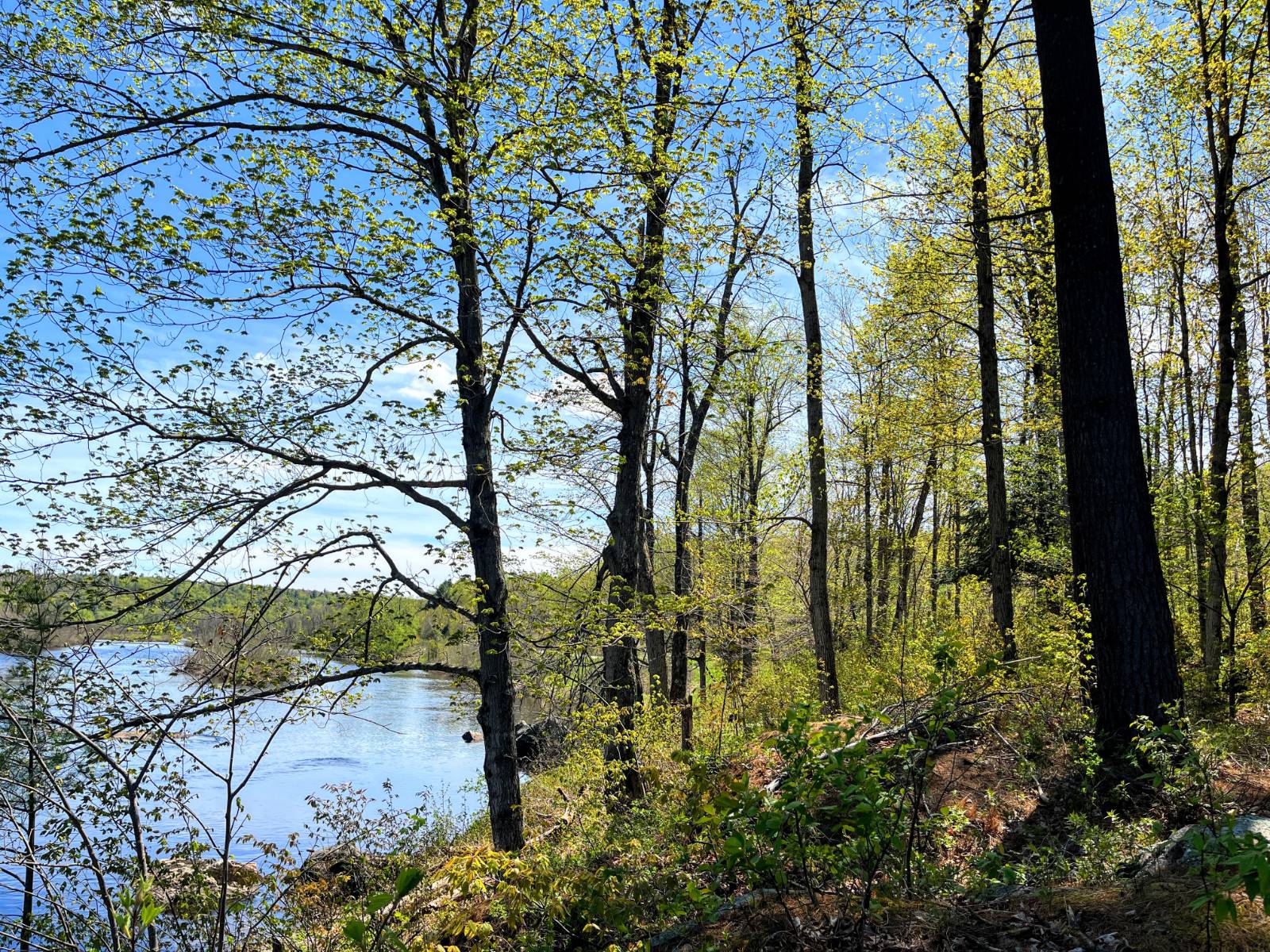 #9 photo, 1472 Cr 17, Russell , NY 13684