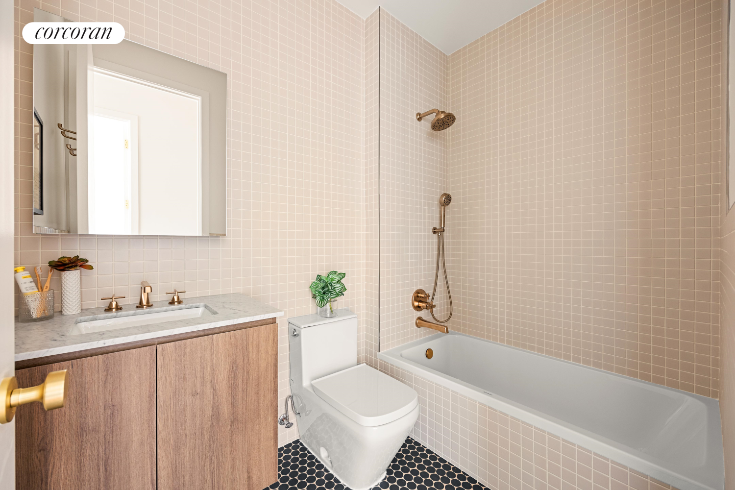 #13 photo, 103 PUTNAM Avenue, ブルックリン区 Bedford-Stuyvesant , NY 11238