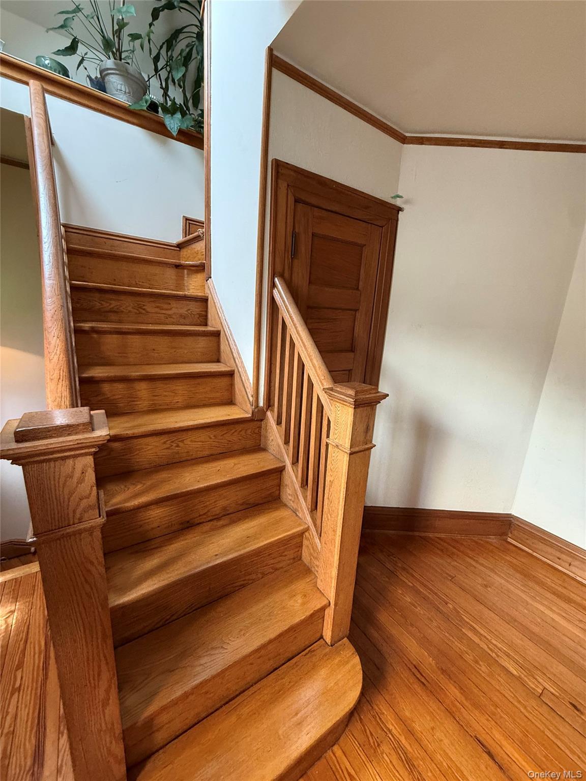 #20 photo, 20 Ridge Road, クイーンズ区 Douglaston , NY 11363