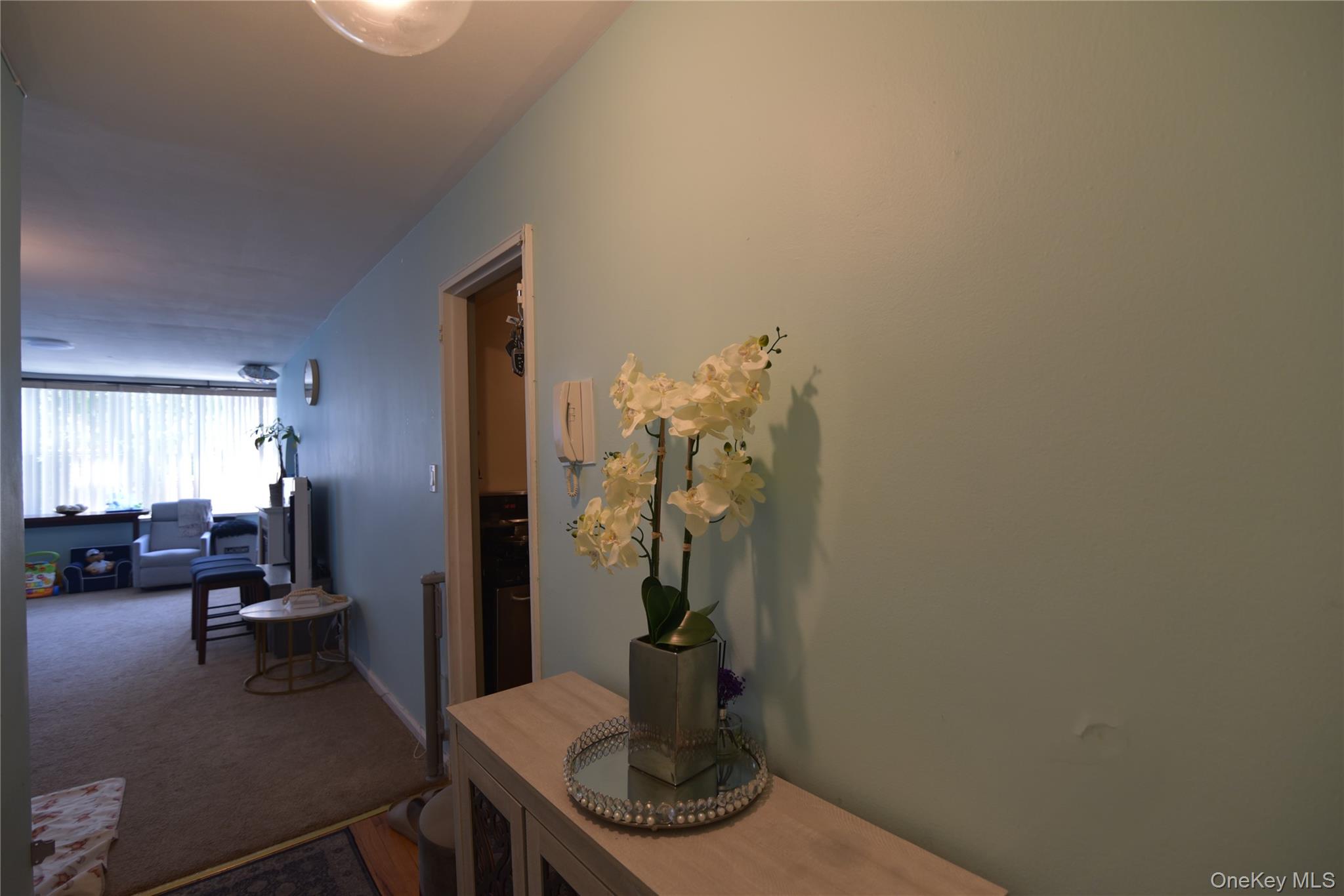 #8 photo, 54-40 Little Neck Parkway, クイーンズ区 Little Neck , NY 11362