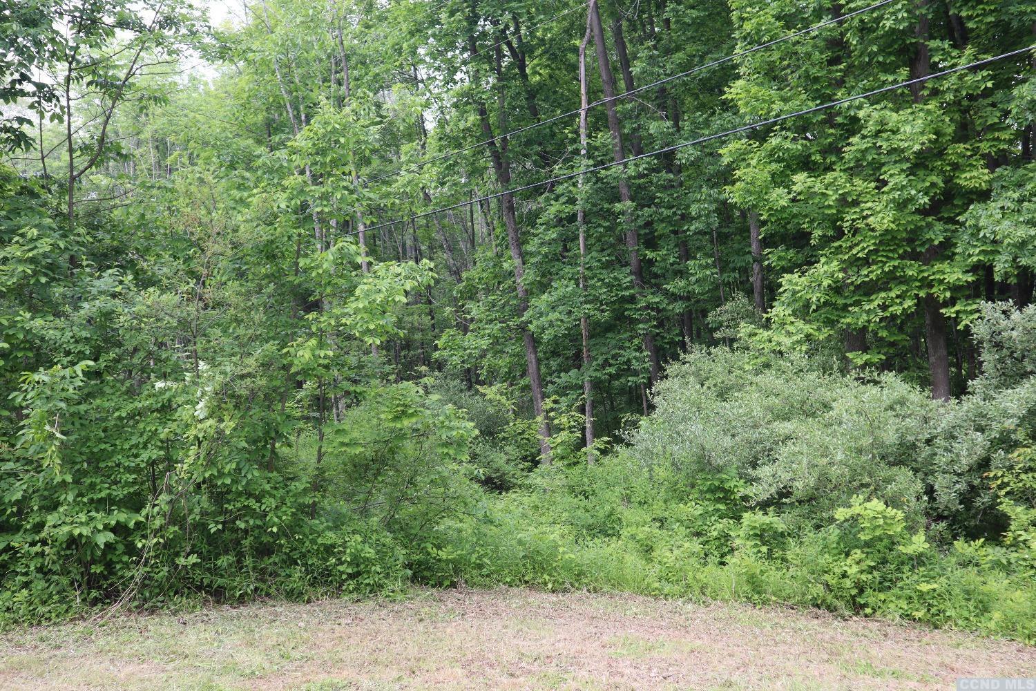 #3 photo, Route 82, Germantown , NY 