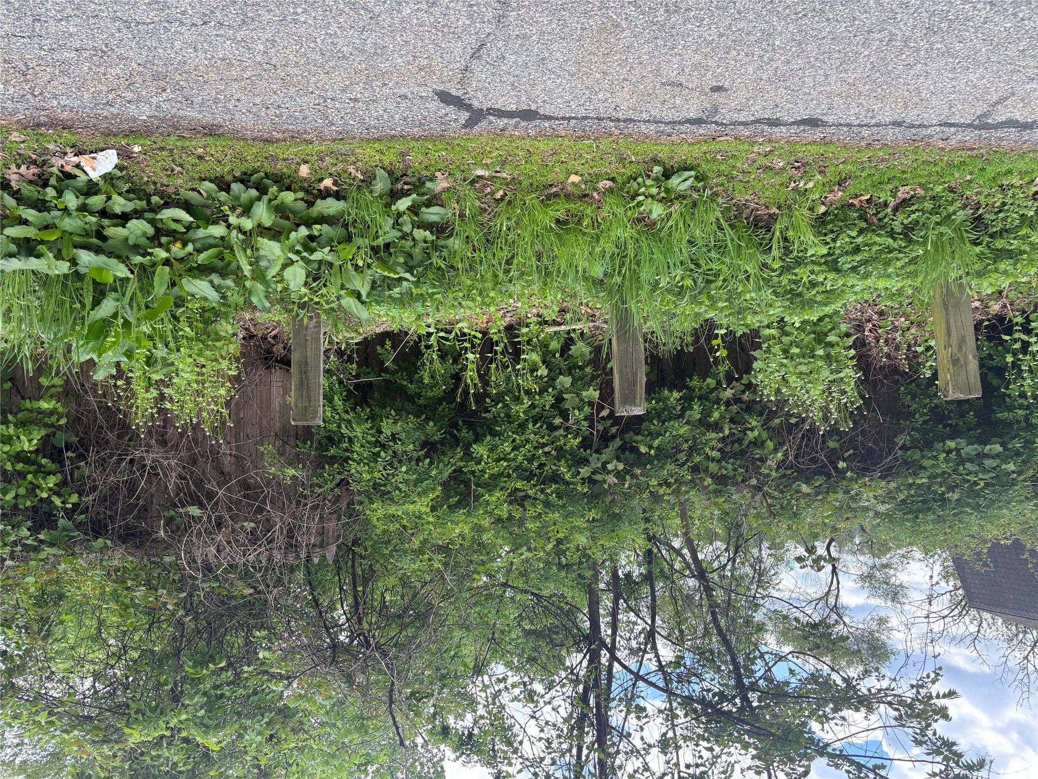 #10 photo, 21 Washington Avenue, White Plains , NY 10603