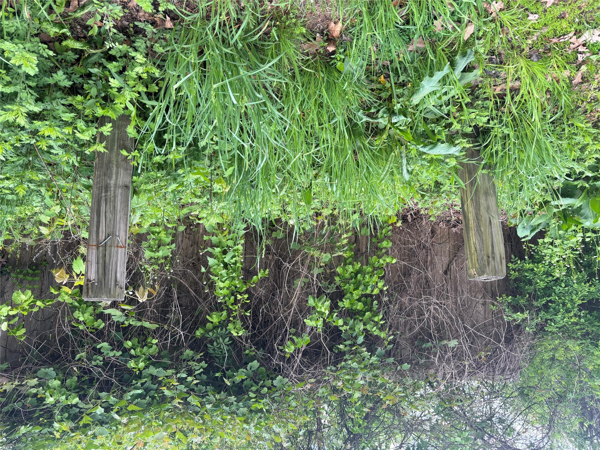 #2 photo, 21 Washington Avenue, White Plains , NY 10603