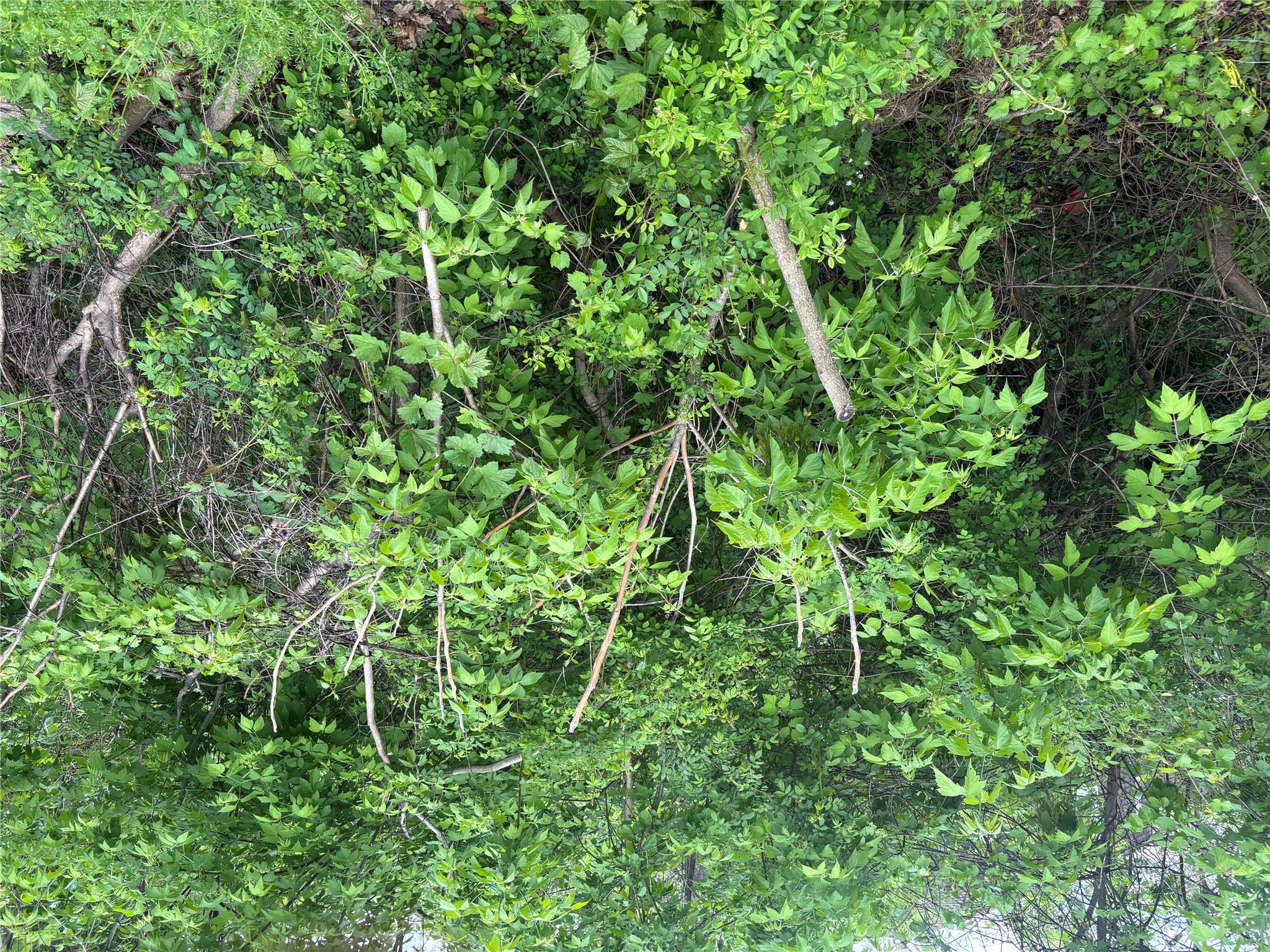 #3 photo, 21 Washington Avenue, White Plains , NY 10603